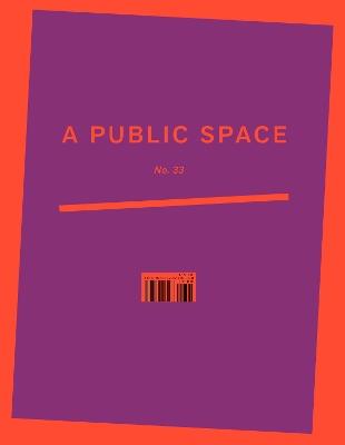 A Public Space No. 31 - cover