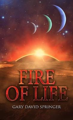 Fire of Life - Gary David Springer - cover