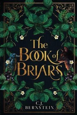 The Book of Briars - C J Bernstein - cover