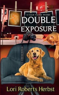 Double Exposure - Lori Roberts Herbst - cover