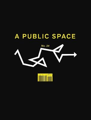 A Public Space No. 32 - cover
