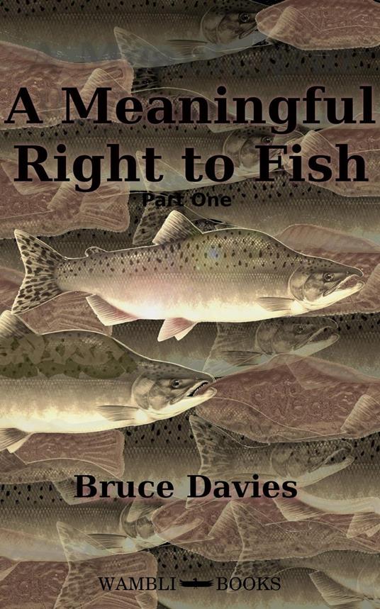 A Meaningful Right to Fish Part One