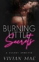 Burning Little Secrets - Vivian Mae - cover