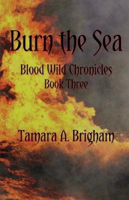 Burn the Sea - Tamara A Brigham - cover