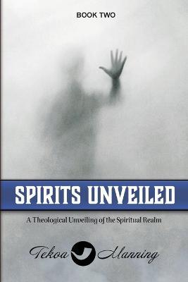 Spirits Unveiled: A Theological Unveiling of the Spiritual Realm - Tekoa Manning - cover