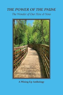 The Power of the Pause: The Wonder of Our Here & Now - cover