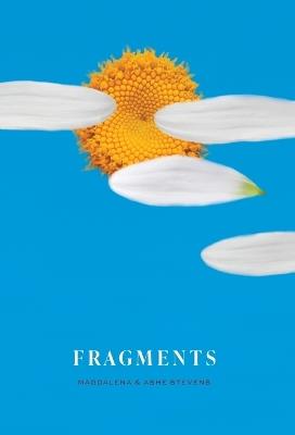 Fragments - Magdalena Stevens,Ashe Stevens - cover