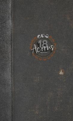 18ACORNS BUJO and Productivity Guide for the Overwhelmed - VanderSluis - cover