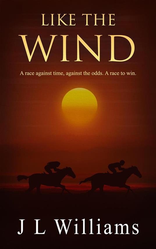 Like The Wind - J. L. Williams - ebook