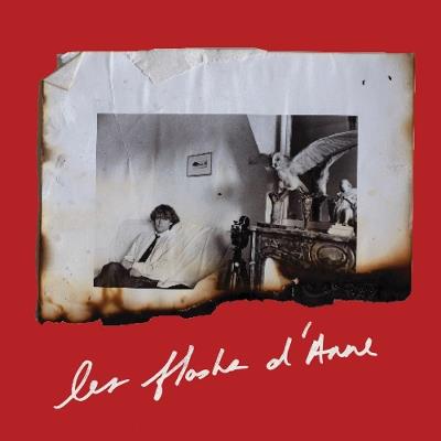 Anne Day: Les Flashes D'Anne: Friendship Among the Ashes with Hervé Guibert - Anne Day - cover