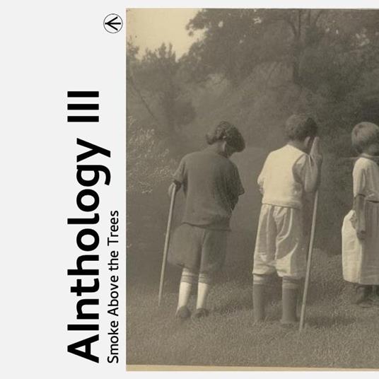 Smoke Above the Trees