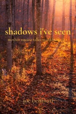 shadows i've seen - Joe Beninati - cover