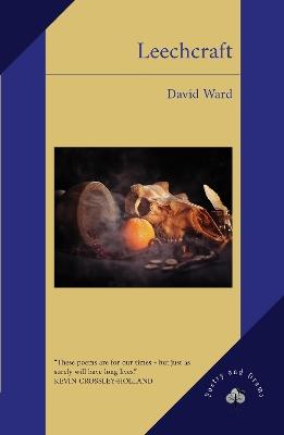 Leechcraft - David Ward - cover