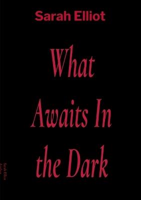 What Awaits In the Dark - Sarah Elliot - cover