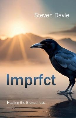 Imprfct - Steven Davie - cover