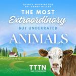 Most Extraordinary But Underrated Animals, The