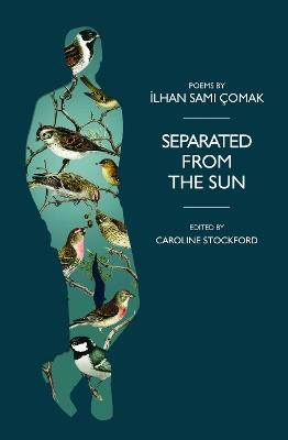 Separated from the Sun - İlhan Çomak - cover