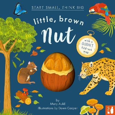 Little, Brown Nut: A fact-filled picture book about the life cycle of the Brazil nut tree, with fold-out map of the Amazon rainforest (ages 4-8) - Mary Auld - cover