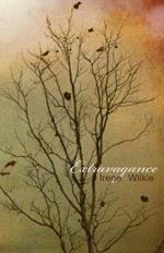 Extravagance