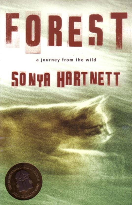 Forest - DK,Sonya Hartnett - ebook