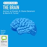 The Brain