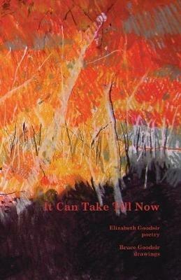 It Can Take Till Now - Elizabeth Goodsir - cover