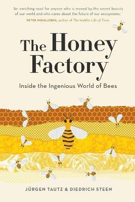 The Honey Factory: Inside the Ingenious World of Bees - Jurgen Tautz,Diedrich Steen - cover