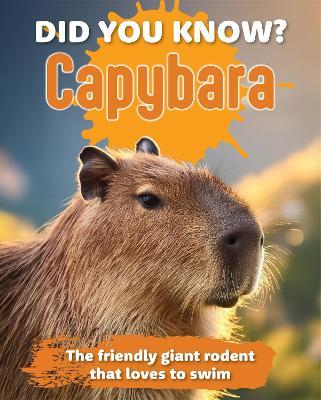 Did You Know? Capybara: The friendly giant rodent that loves to swim. - cover
