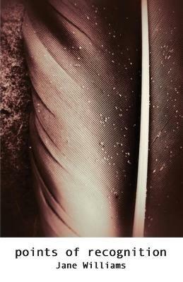 Points of Recognition - Jane Williams - cover