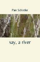 say, a river - Pam Schindler - cover