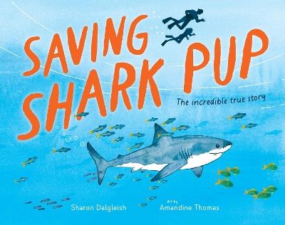 Saving Shark Pup: The amazing true story - Sharon Dalgleish - cover