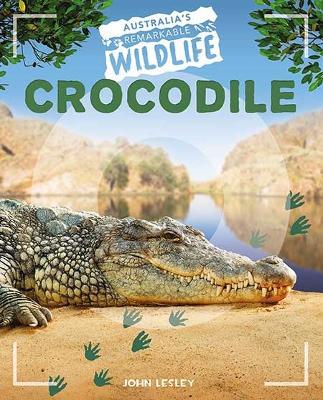 Crocodile - John Lesley - cover
