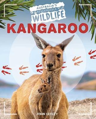 Kangaroo - John Lesley - cover
