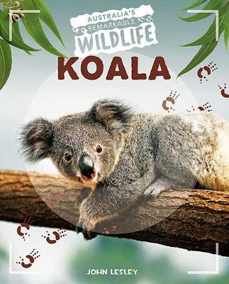 Koala - John Lesley - cover