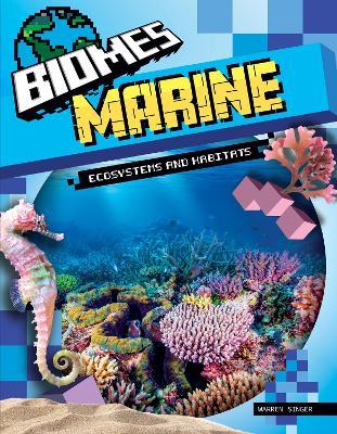 Marine - Warren Singer - cover