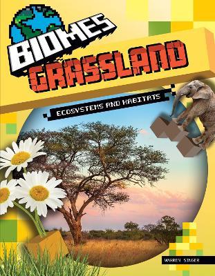 Grassland - Warren Singer - cover