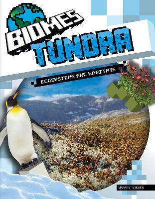 Tundra - Warren Singer - cover