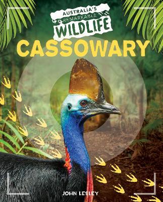 Cassowary - John Lesley - cover