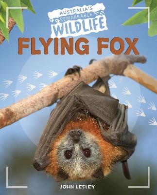 Flying Fox - John Lesley - cover