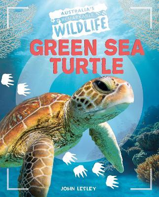 Green Sea Turtle - John Lesley - cover