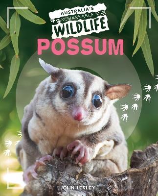 Possum - John Lesley - cover