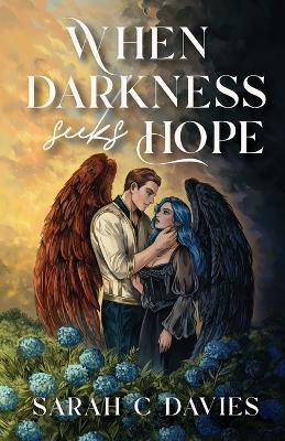When Darkness Seeks Hope - Sarah C Davies - cover