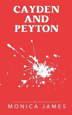 Someone Else's Shadow (Discreet Cover) - Monica James - cover