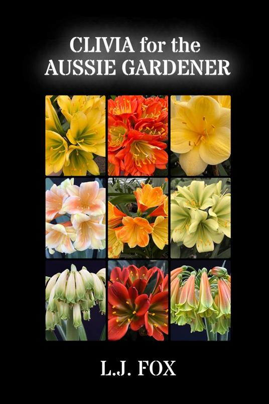 CLIVIA for the AUSSIE GARDENER