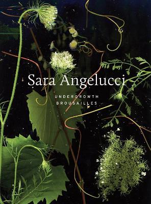 Sara Angelucci: Undergrowth / Brousailles - Sara Angelucci,Shannon Anderson - cover