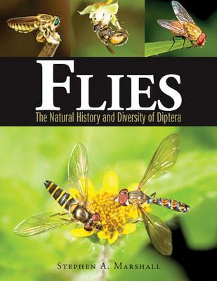 Flies: The Natural History and Diversity of Diptera - Stephen A. Marshall - cover