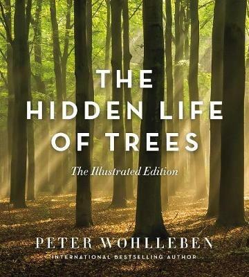 The Hidden Life of Trees: The Illustrated Edition - Peter Wohlleben - cover
