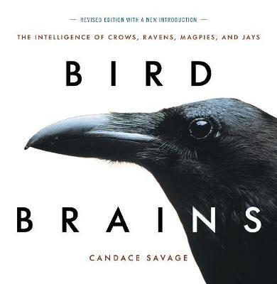 Bird Brains: The Intelligence of Crows, Ravens, Magpies, and Jays - Candace Savage - cover