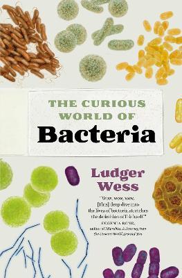 The Curious World of Bacteria - Ludger Wess - cover