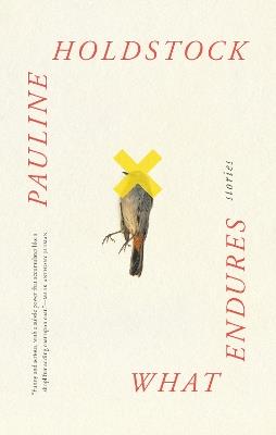 What Endures - Pauline Holdstock - cover